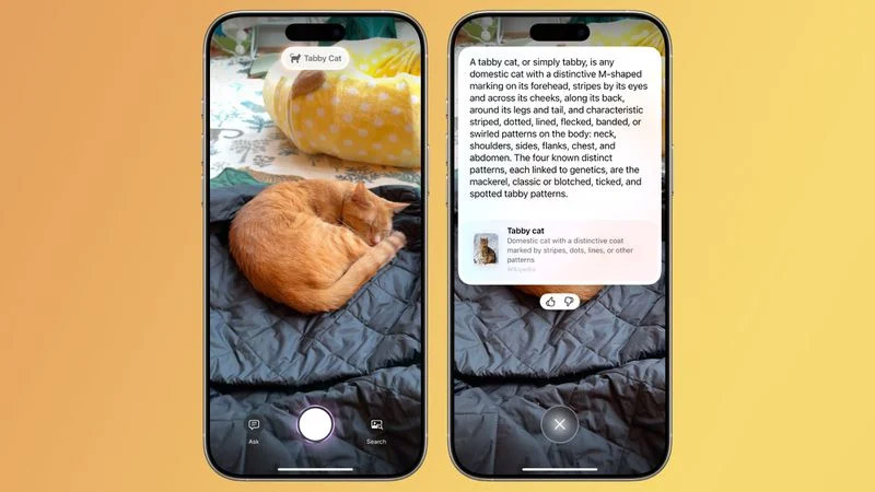 ios-18-3-camera-control-animals