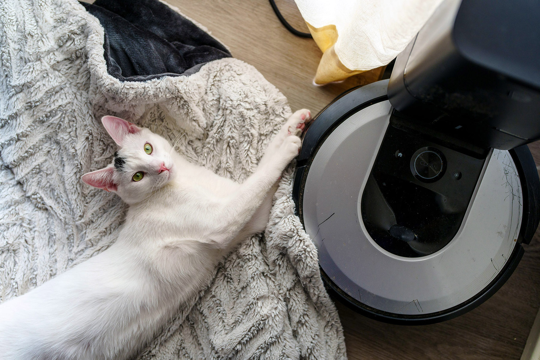 robot vacuum with cat relaxing